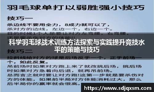 科学羽毛球战术训练方法探索与实践提升竞技水平的策略与技巧