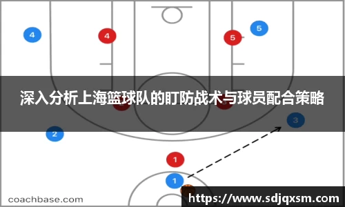 深入分析上海篮球队的盯防战术与球员配合策略